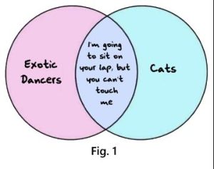 graphic for cinderella syndrome